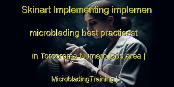 Skinart Implementing implemen microblading best practicest in Torcoroma Numero Dos area | MicrobladingTraining | MicrobladingClasses | SkinartTraining-Colombia
